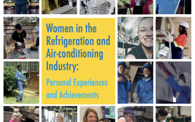 Women in the Refrigeration and Air-conditioning Industry: Personal Experiences and Achievements.pdf
