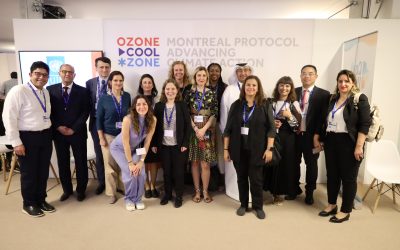 INWIC at COP28 in Dubai