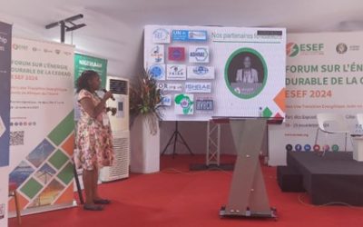 INWIC discusses gender issues at the ECOWAS Sustainable Energy Forum