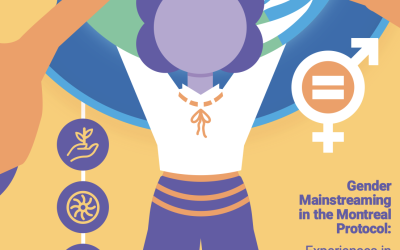 Gender Mainstreaming in the Montreal Protocol: Experiences in Latin America and the Caribbean