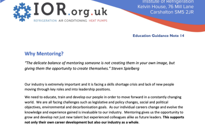 Mentoring Guide: Why Mentoring