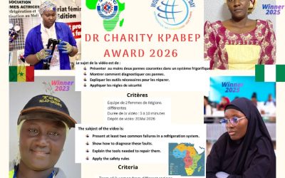 Dr. Charity Kpabep Award 2026 – Now Open!